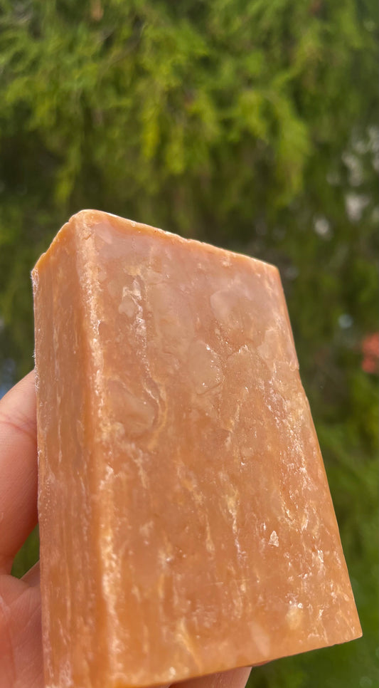 Savon Nigelle & Carotte🧡🥕