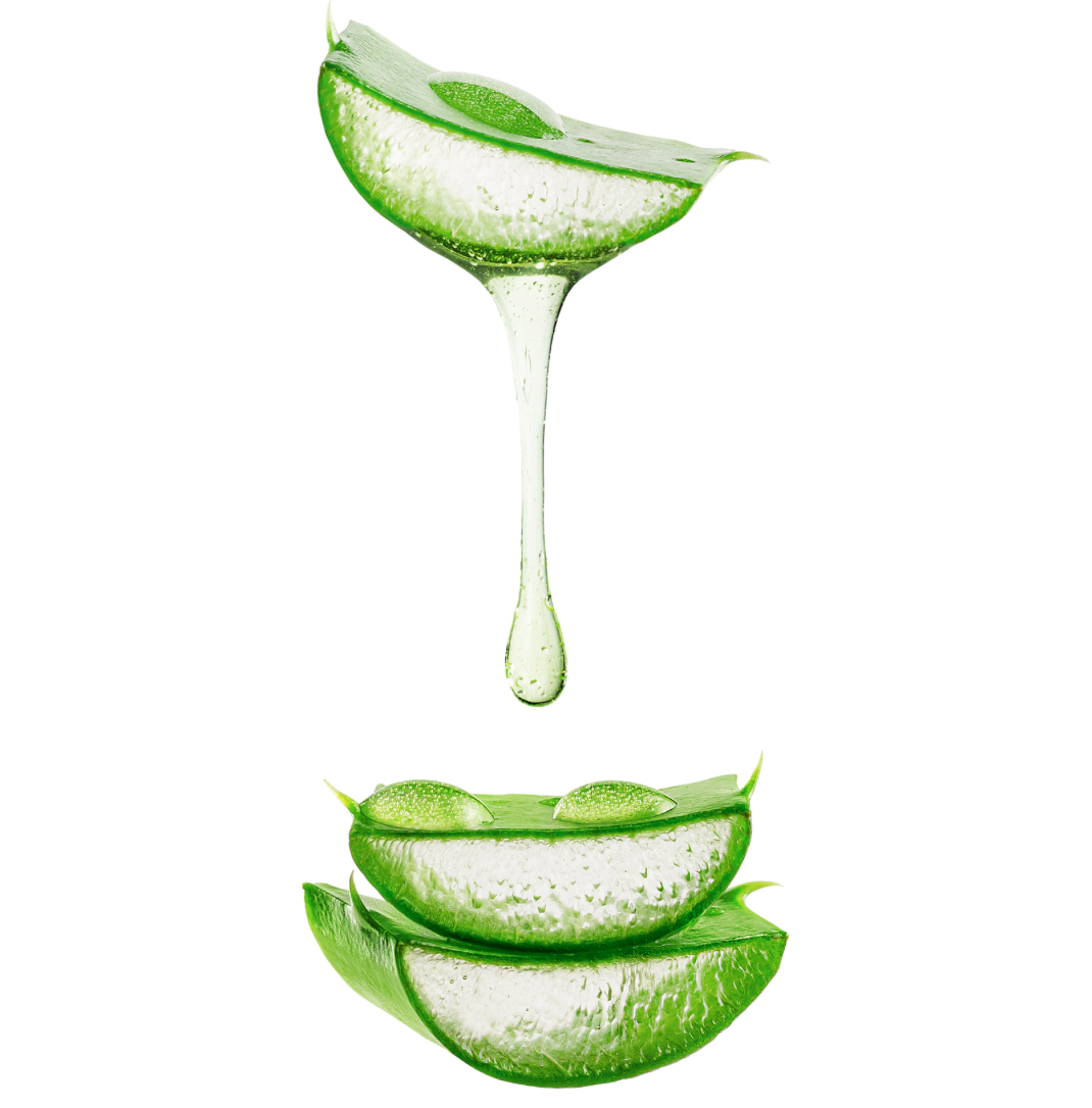 Conçu par une biologiste.