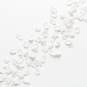 Musc blanc